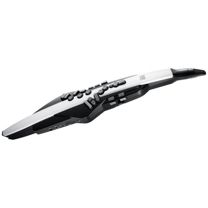 Roland Aerophone AE-20 Digital Wind Instrument