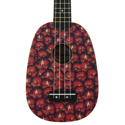 Amahi DDUK16 Soprano Ukulele - Pineapple