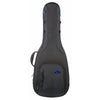 Reunion Blues RB Expedition Small Body Acoustic Case