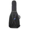 Reunion Blues RB Expedition Acoustic Dreadnought Guitar Case