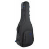 Reunion Blues RB Expedition Acoustic Dreadnought Guitar Case