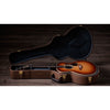 Taylor Gold Label 814e Hawaiian Koa Acoustic-Electric Guitar - Sunburst