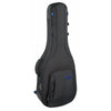 Reunion Blues RB Expedition Small Body Acoustic Case