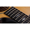 Taylor Guitars 614ce Builder's Edition Acoustic-Electric Guitar w/ V-Class Bracing - Natural