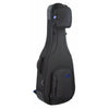 Reunion Blues RB Expedition Acoustic Dreadnought Guitar Case