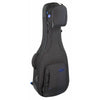 Reunion Blues RB Expedition Small Body Acoustic Case