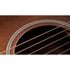 Taylor 614ce Builder's Edition Acoustic-Electric Guitar w/ V-Class Bracing - Wild Honey Burst