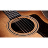 Taylor 314ce Studio Special Edition SEB Sapele Acoustic-Electric Guitar - Shaded Edgeburst