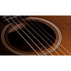 Taylor 614ce Builder's Edition Acoustic-Electric Guitar w/ V-Class Bracing - Wild Honey Burst