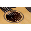 Taylor Guitars 614ce Builder's Edition Acoustic-Electric Guitar w/ V-Class Bracing - Natural