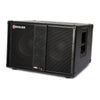 Genzler Bass Array Series 2 Slant Cab 2x10 and 4x3 Array Bass Cabinet