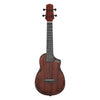 Ibanez AUC14 Ukulele Concert - Open Pore Violin Sunburst