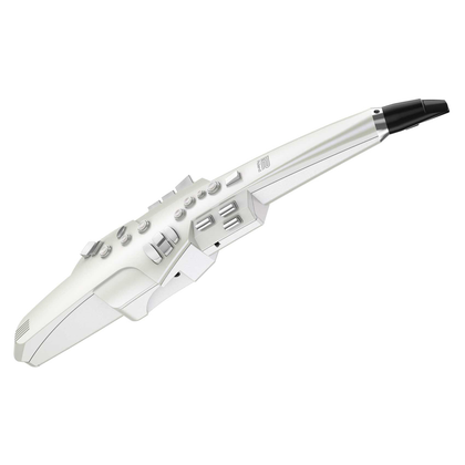 Roland AE-10 Aerophone Digital Sax - Bananas at Large - 1