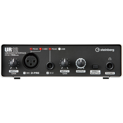 Steinberg UR12 USB 2.0 and iPad Recording Interface - Bananas at Large - 1