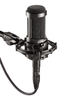 Audio Technica AT2035 Cardioid Condenser Microphone - Bananas At Large®