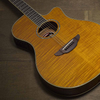 Yamaha APX600 Thinline Flamed Maple Acoustic-Electric Guitar - Amber