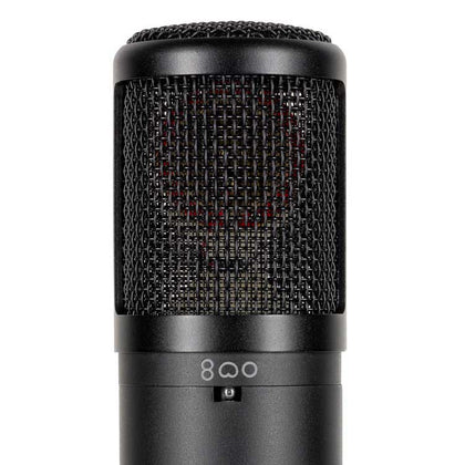 sE Electronics sE2300 Multi Pattern Large Diaphragm Studio Mic