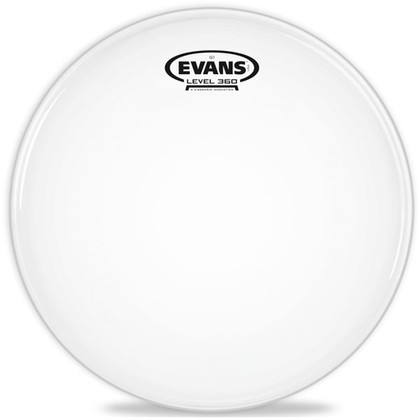 Evans B08G1 8 Inch G1 Coated Tom/Timbale - Bananas At Large®